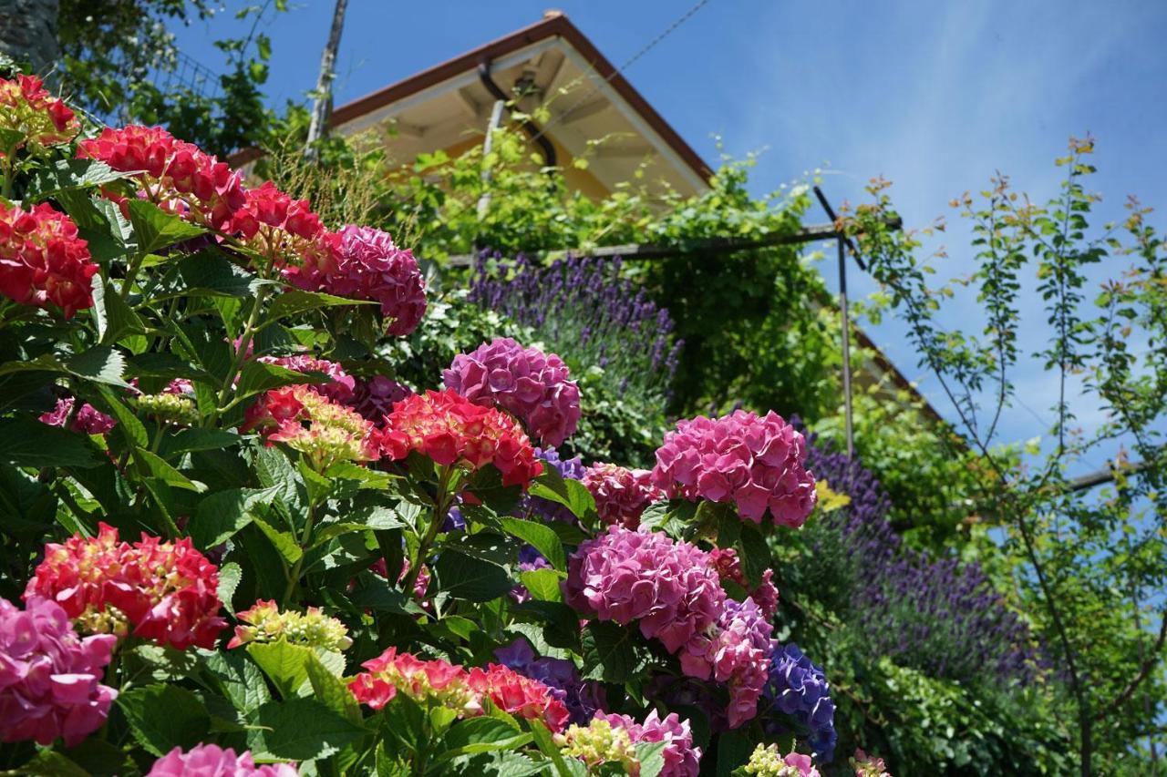 B&B Antiche Pietre Bollengo Dış mekan fotoğraf