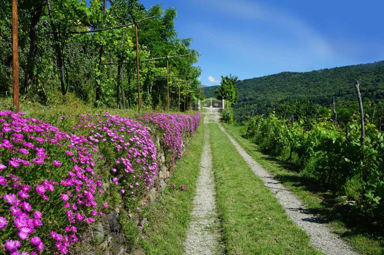 B&B Antiche Pietre Bollengo Dış mekan fotoğraf