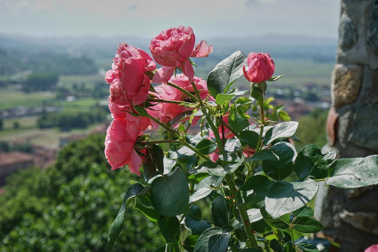 B&B Antiche Pietre Bollengo Dış mekan fotoğraf