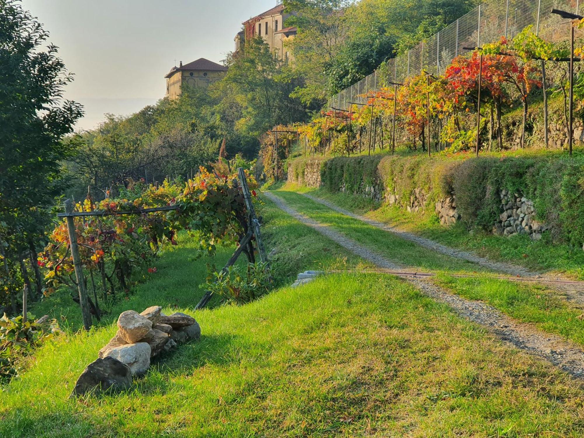 B&B Antiche Pietre Bollengo Dış mekan fotoğraf